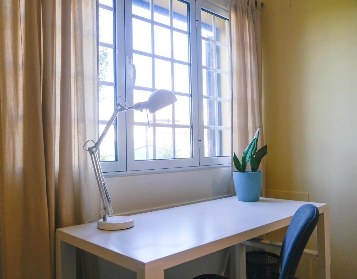 Lava Acores Coliving & Coworking Ribeira Grande Eksteriør bilde