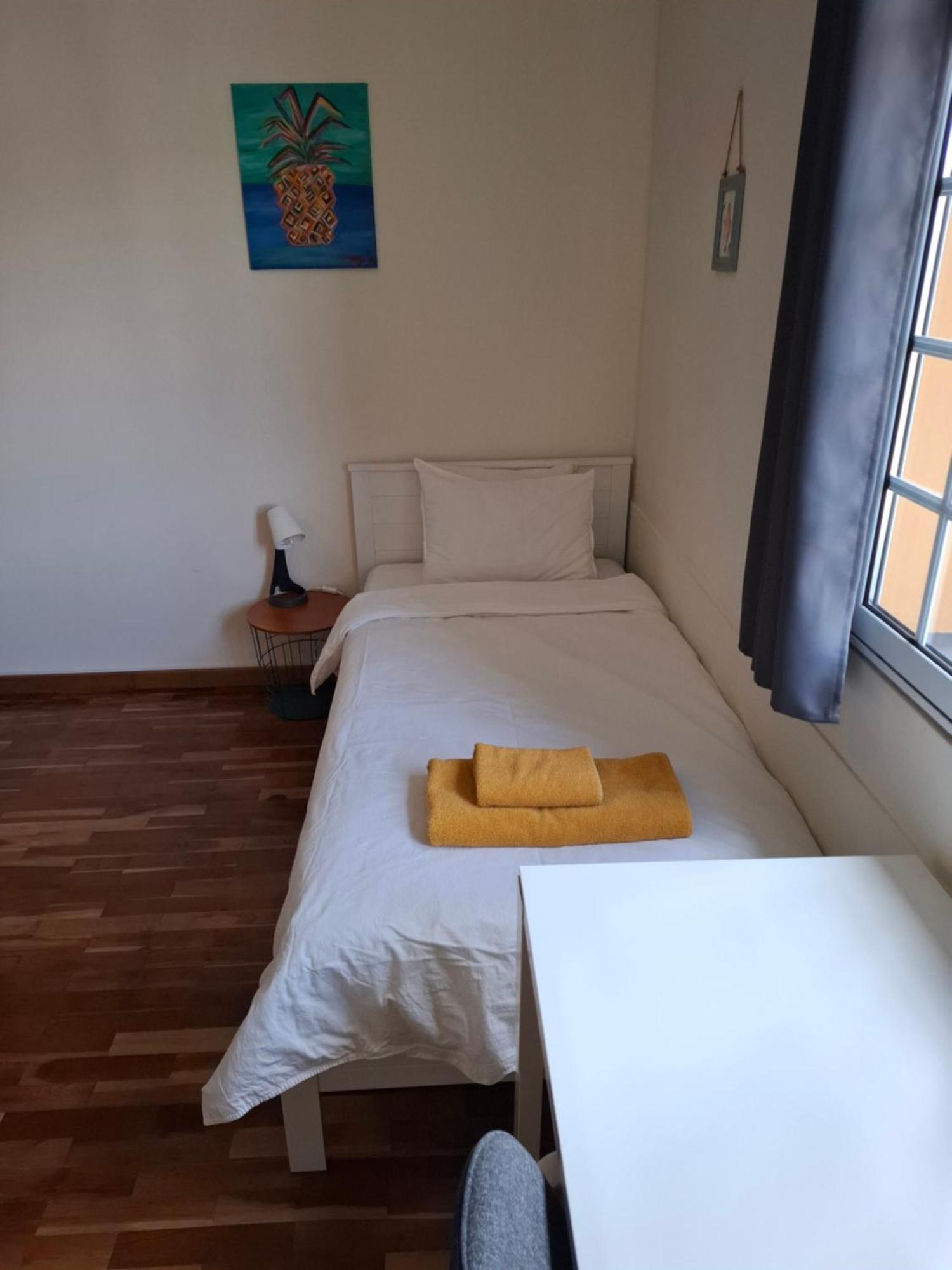 Lava Acores Coliving & Coworking Ribeira Grande Eksteriør bilde